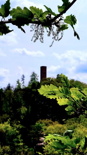 Scharfenberg | Foto: Markus Pacher
