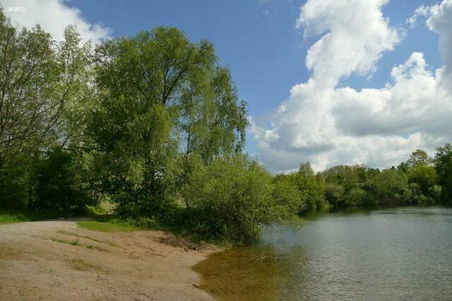 Heidesee | Foto: Marlene Deck