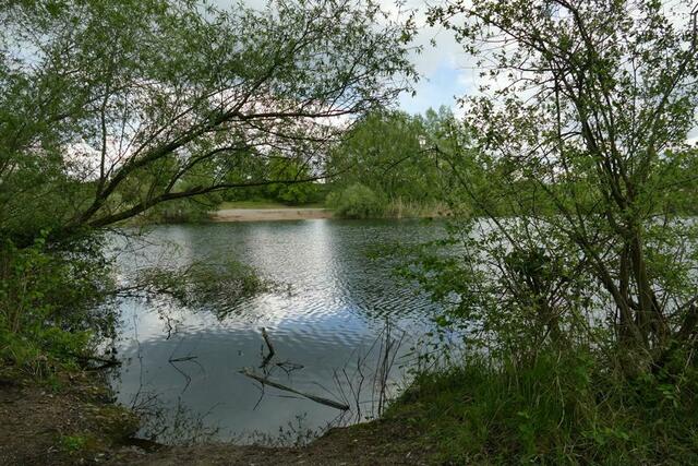 Heidesee | Foto: Marlene Deck