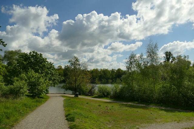 Heidesee | Foto: Marlene Deck