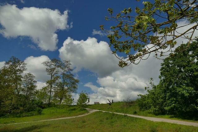 Heidesee | Foto: Marlene Deck