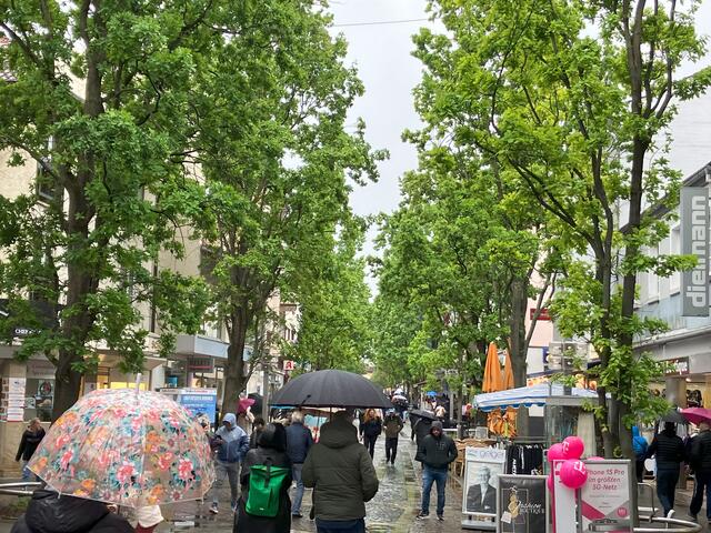 Streetfood-Festival und verkaufsoffener Sonntag in Frankenthal | Foto: Gisela Böhmer
