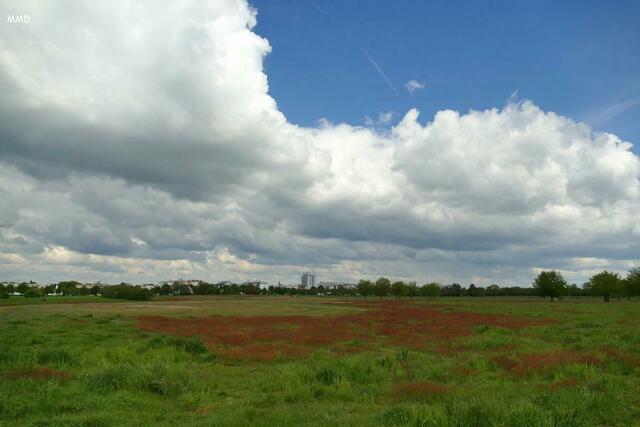 Blick auf Neureut | Foto: Marlene Deck