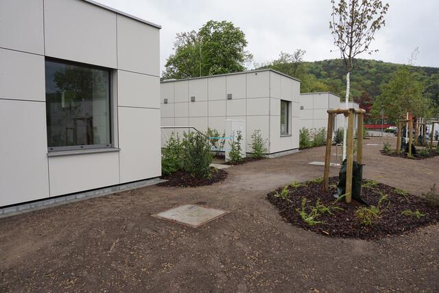 Foto: Pfalzklinikum Klingenmünster