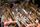 Blaskapelle Symbolbild | Foto: Y_Stock/stock.adobe.com