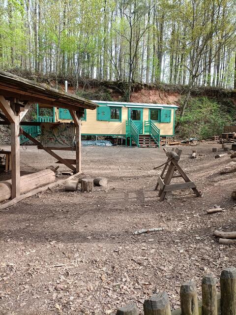 Waldkindergarten | Foto: Ich
