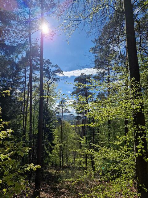 Aussicht | Foto: Ich
