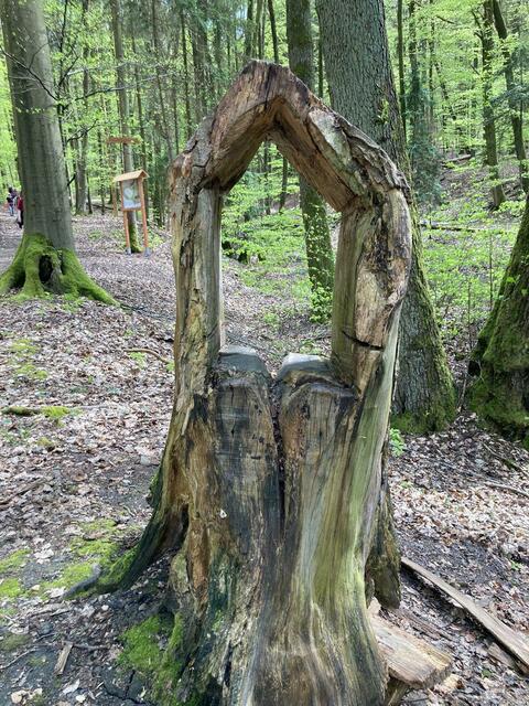 Durchblick | Foto: Ich