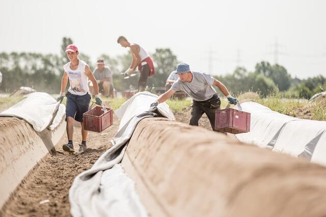 Auf den Feldern | Foto: VSSE/Christoph Goeckel