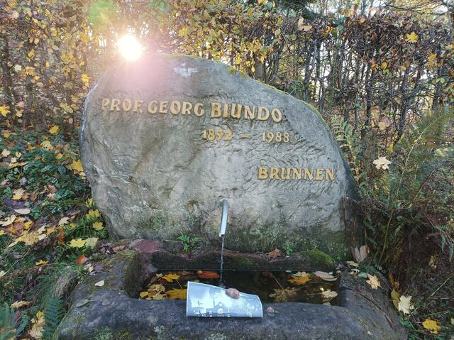 Mahnmal Professer Dr. Georg Biundo | Foto: Archiv MeToDe