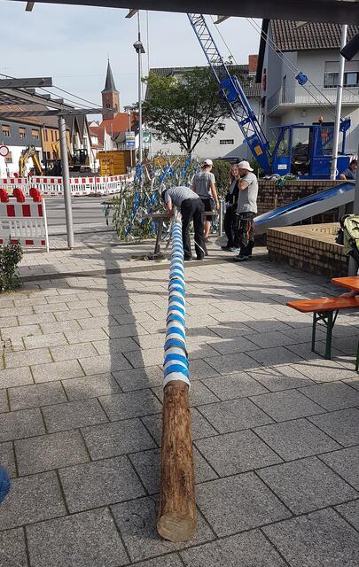 Der Maibaum wird gerichtet. | Foto: Urheber: W. Schmidhuber