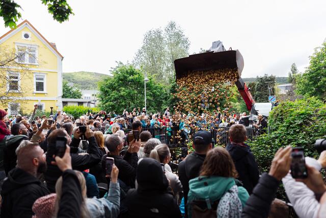 Startschuss des Elwetritsche-Rennens | Foto: Benjamin Klose