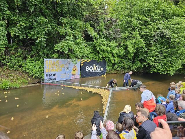Die Tritschen werden aus den Fluten gerettet  | Foto: Michael Landgraf