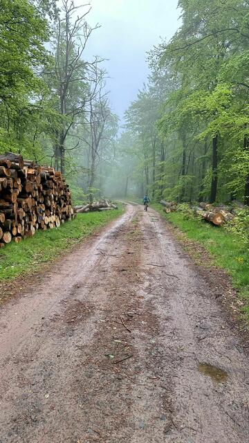 Auf dem Schlossberg | Foto: C. Eicher
