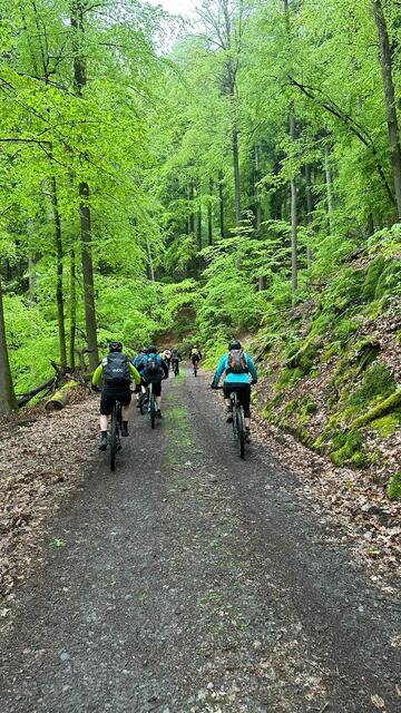 Auf dem Weg zu den 3 Linden | Foto: C. Eicher