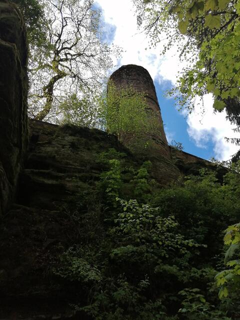 Burgruine Diemerstein | Foto: Oliver Bernstengel