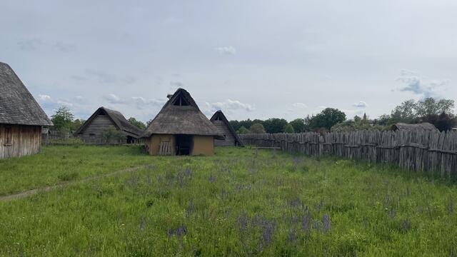 Reetdächer Lauresham | Foto: Michael Ceranski