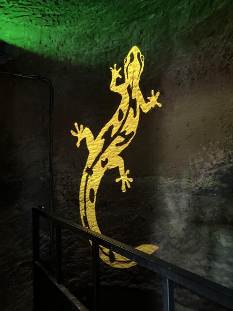 Tolle Illumination im Innern der Burganlage | Foto: B. Bender