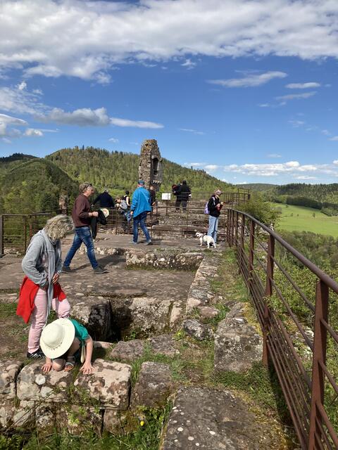 Immer und immer wieder gibt es Neues zu entdecken | Foto: B. Bender