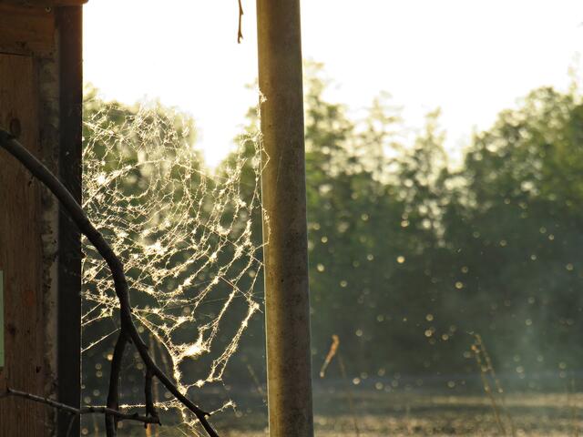 Impressionen | Foto: Brigitte Melder