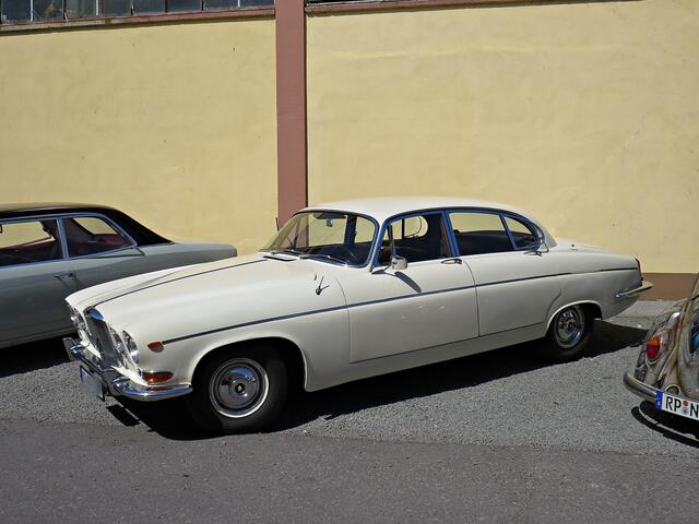 Der Mannheimer Jaguar | Foto: Brigitte Melder