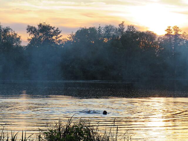 Impressionen | Foto: Brigitte Melder