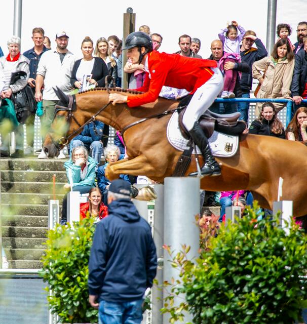 Richard Vogel auf Cydelle im Nationenpreis | Foto: Wolfgang Neuberth