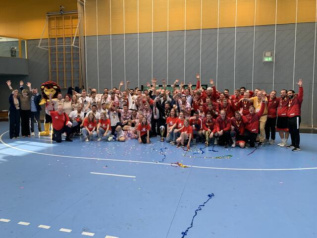 Die drei erfolgreichen Handball-Teams | Foto: Michael Sonnick