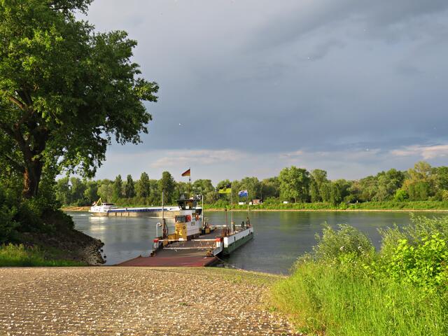 Foto: Brigitte Melder