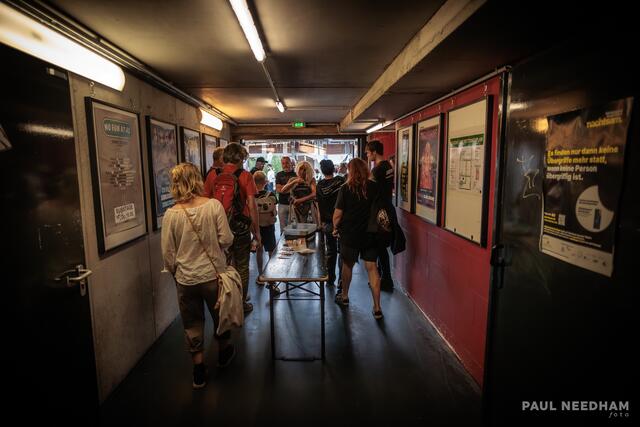 Schwein Gehabt  | Foto: Paul Needham