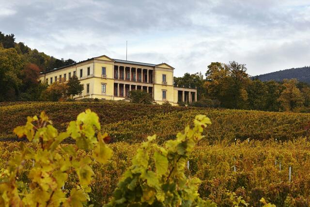 Schloss Villa Ludwigshöhe. | Foto: GDKE Rheinland-Pfalz/Pfeuffer