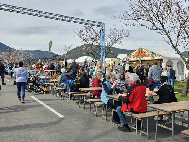 Geselliges Beisammensein auf der Mandelmeile in Edenkoben. | Foto: Eva Bender