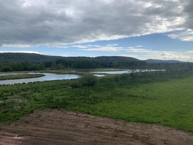 Die Wooglandschaft | Foto: Peter Krietemeyer