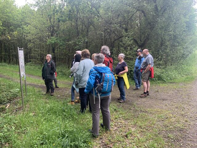 Hinweis auf die Unterschiede von Sand- und Moorbirke | Foto: Peter Krietemeyer