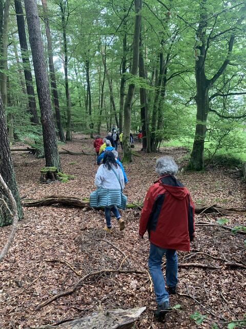 Teilweise ging es über Stock und Stein | Foto: Peter Krietemeyer