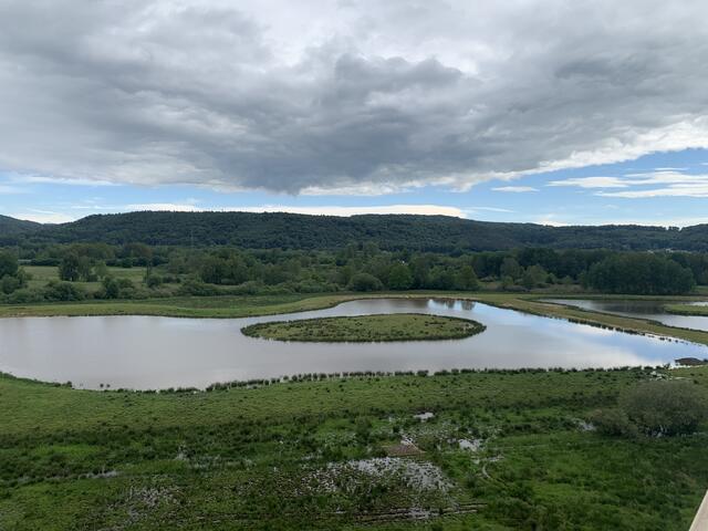Blick über den Kranichwoog | Foto: Peter Krietemeyer
