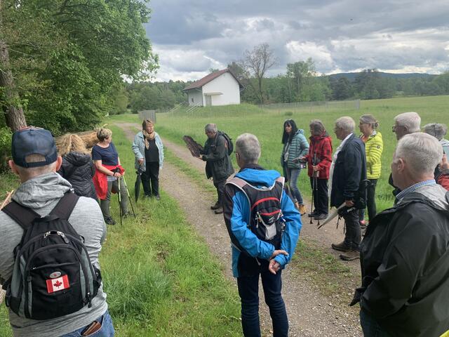 Vom Borkenkäfer beschädigte Fichtenrinde | Foto: Peter Krietemeyer