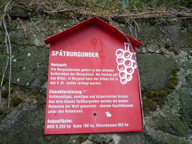 Infotafel auf dem Weinbergsrundgang | Foto: Heinrich Schneider