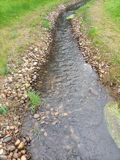 Bachlauf | Foto: Ich