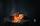 Unbemerkt austretendes Gas entzündete sich | Foto: Africa Studio/stock.adobe.com