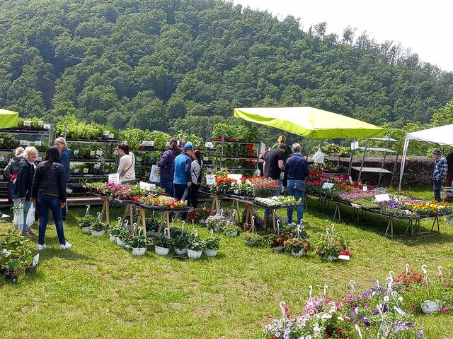 Der Blumen- und Kräutermarkt auf der Unterburg bot alles für Garten oder Balkon | Foto: Foto: Anja Stemler