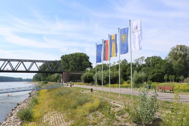 Germersheimer Rheinvorland | Foto: Heike Schwitalla