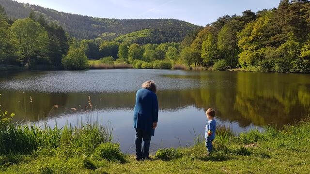 Der St. Martiner Weiher bietet viele schöne Erlebnisse. | Foto: Eva Bender 