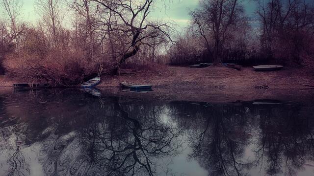 Idyll am Altrhein bei Germersheim | Foto: Heike Schwitalla