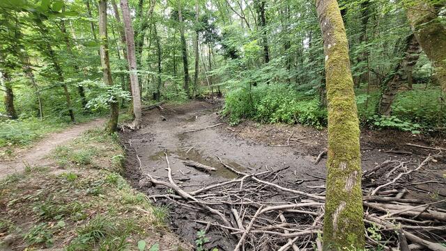 Otterbach 19.06.2023 | Foto: Andrea Abt