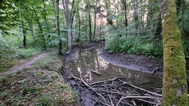 Otterbach 23.06.2023 | Foto: Andrea Abt