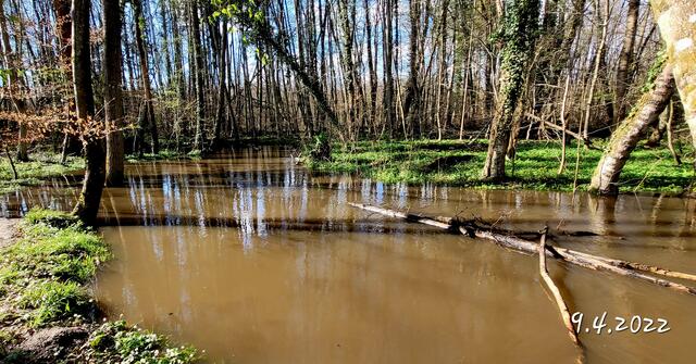 Otterbach 09.04.2022 | Foto: Andrea Abt