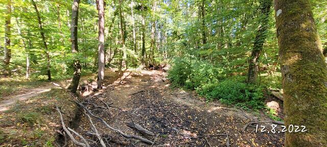 Otterbach 12.08.2022 | Foto: Andrea Abt