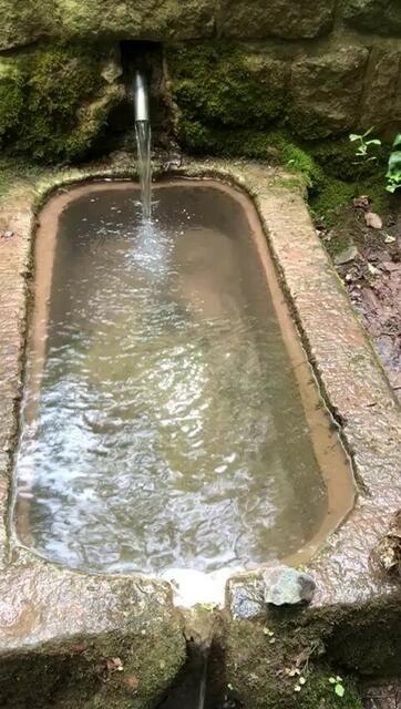 Ein Tag später läuft wieder klares Wasser  | Foto: Vogt Udo