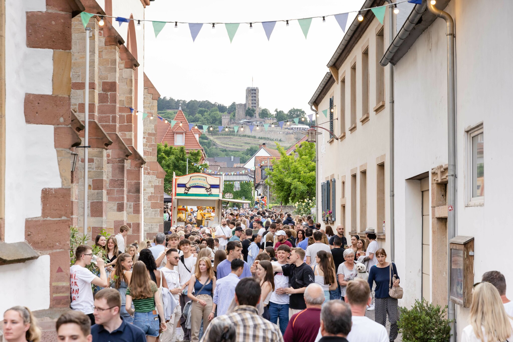 51. Burg und Weinfest Wachenheim von 7.9. und 14.16. Juni 2024